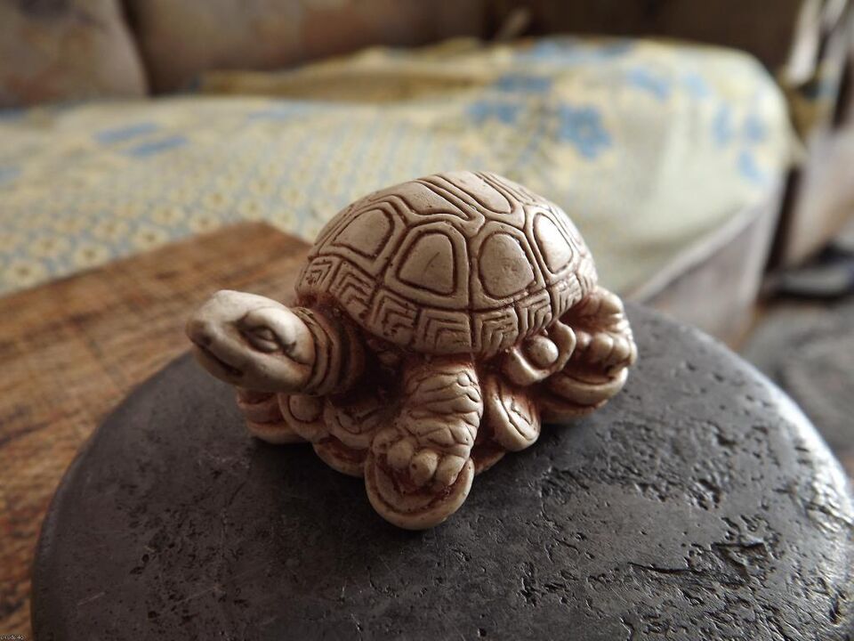 estatua de tortuga como amuleto de buena suerte